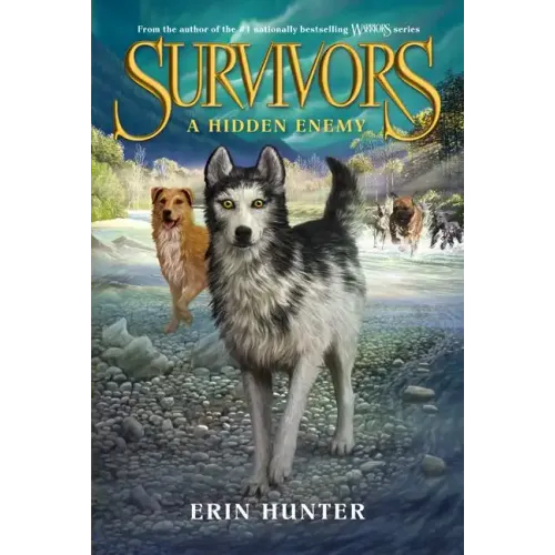 A Hidden Enemy - Paperback