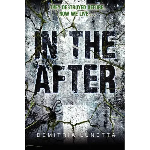 In the After - Paperback