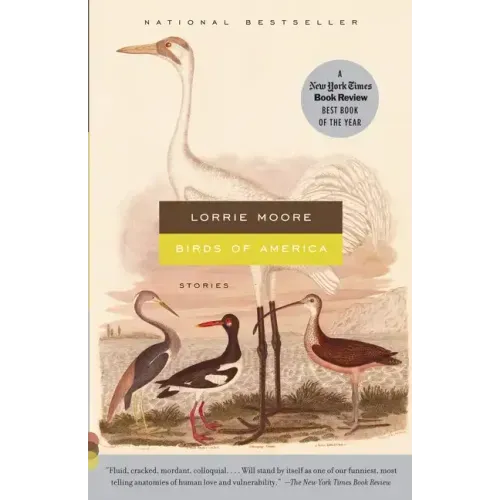 Birds of America: Stories - Paperback