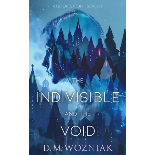 The Indivisible and the Void - Paperback