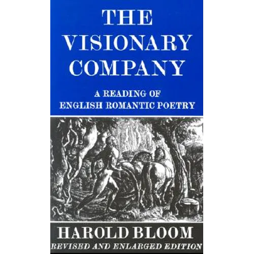 The Visionary Company: A Reading of English Romantic Poetry - Paperback