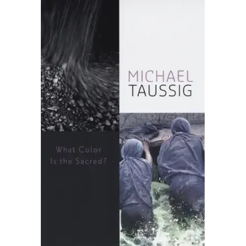 What Color Is the Sacred? - Hardcover