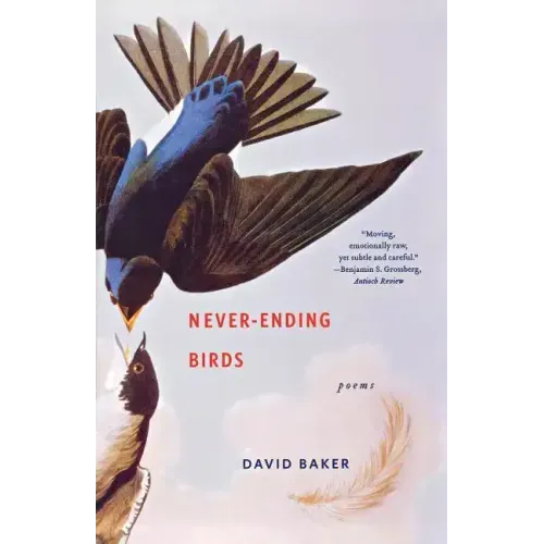 Never-Ending Birds: Poems - Paperback