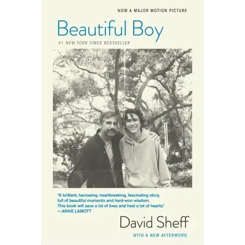 Beautiful Boy (Tie-In): A Father's Journey Through His Son's Addiction - Paperback