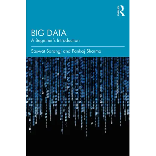 Big Data: A Beginner's Introduction - Paperback