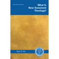 What Is New Testament Theology?