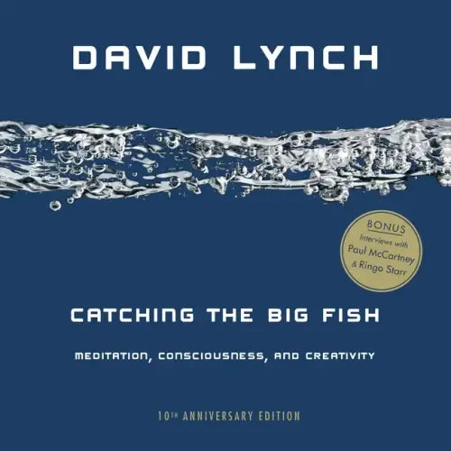Catching the Big Fish: Meditation, Consciousness, and Creativity - Paperback