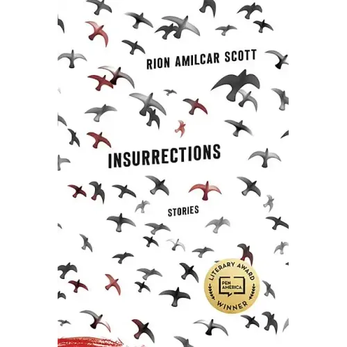 Insurrections: Stories - Paperback