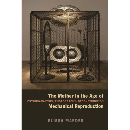 The Mother in the Age of Mechanical Reproduction: Psychoanalysis, Photography, Deconstruction - Hardcover