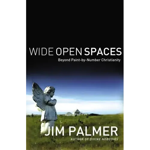 Wide Open Spaces: Beyond Paint-By-Number Christianity - Paperback