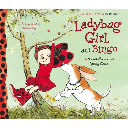 Ladybug Girl and Bingo