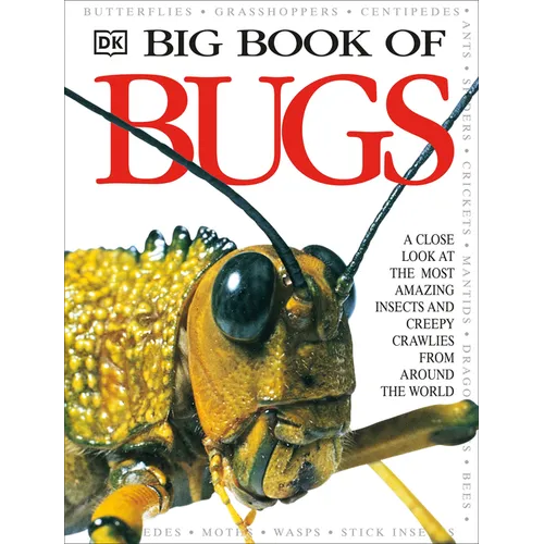 Big Book of Bugs - Hardcover