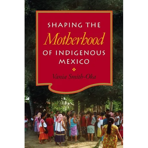 Shaping the Motherhood of Indigenous Mexico - Hardcover