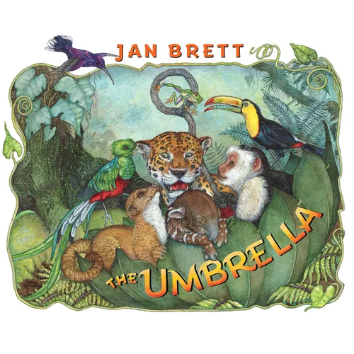 The Umbrella - Hardcover