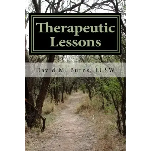 Therapeutic Lessons: An Introduction to Working with Clients with Serious and Persistent Mental Illness - Paperback