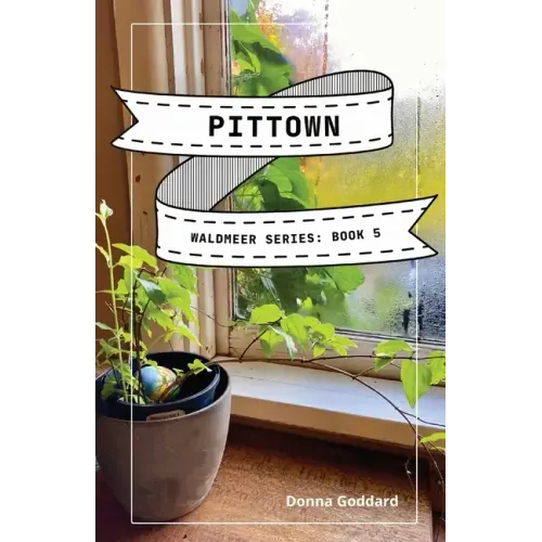 Pittown: A Spiritual Fiction Series - Paperback
