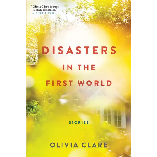 Disasters in the First World: Stories - Paperback