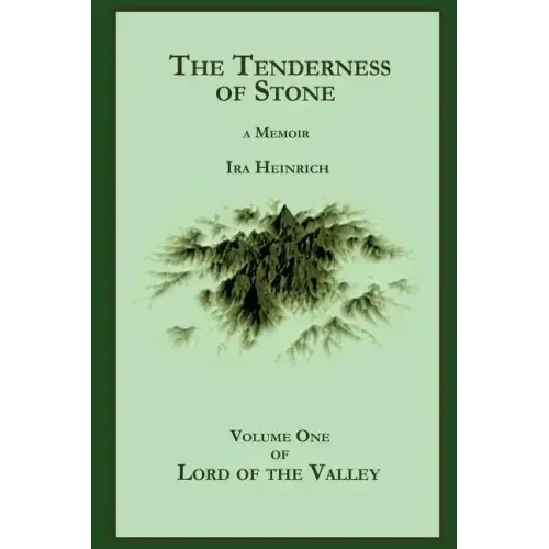 The Tenderness of Stone - Paperback
