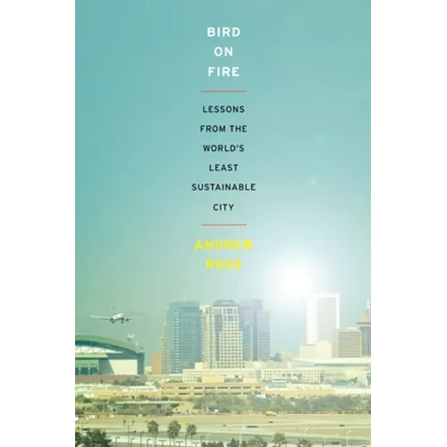 Bird on Fire: Lessons from the World's Least Sustainable City - Paperback