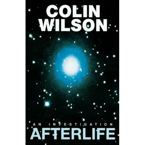 Afterlife: An Investigation - Paperback