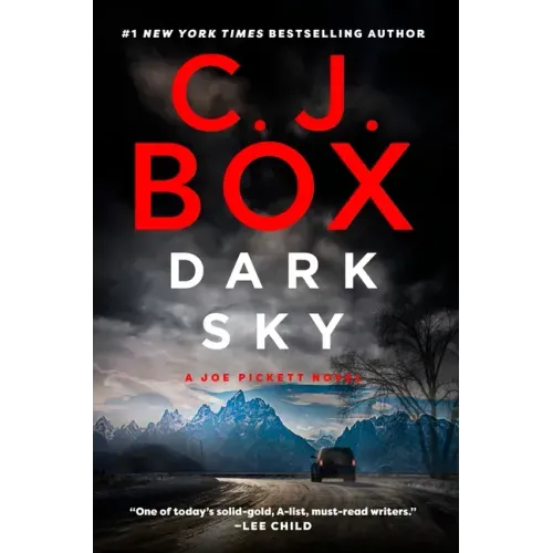 Dark Sky - Paperback