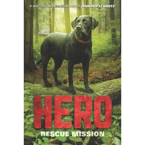 Hero: Rescue Mission - Paperback