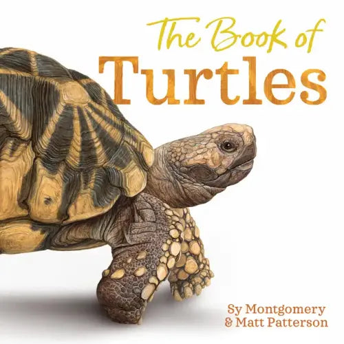 The Book of Turtles - Hardcover