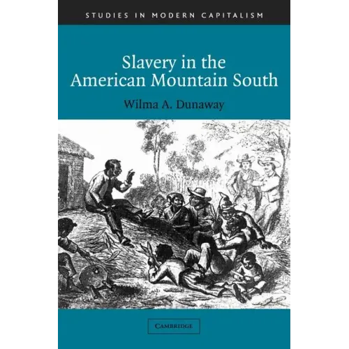 Slavery in the American Mountain South - Paperback
