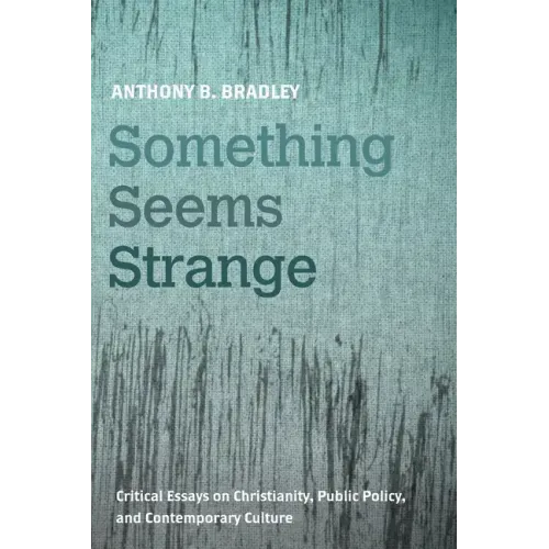 Something Seems Strange: Critical Essays on Christianity, Public Policy, and Contemporary Culture - Paperback