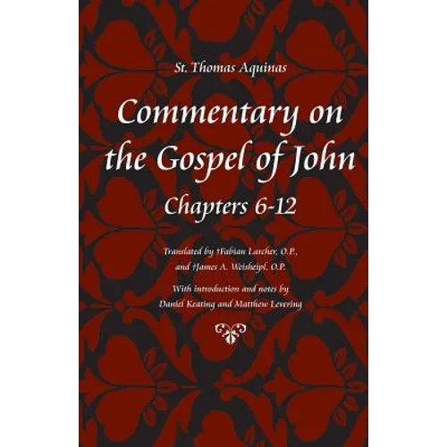 Commentary on the Gospel of John, Books 6-12 - Paperback