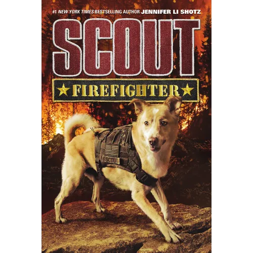 Scout: Firefighter