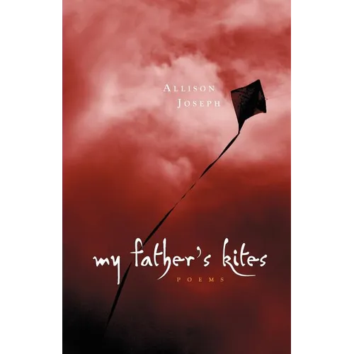 My Father's Kites - Paperback