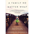 A Family No Matter What: The Journey to a Beautiful Divorce, Happy Children, and a Vibrant Life