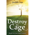 Destroy the Cage: Break Free Into God's Purpose