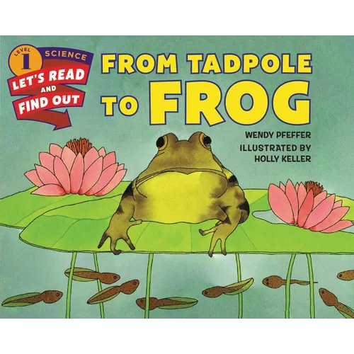 From Tadpole to Frog - Paperback