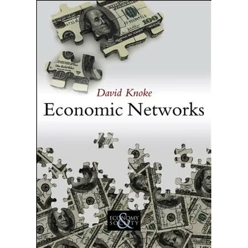 Economic Networks - Paperback