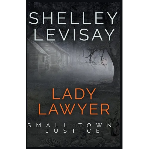 Lady Lawyer: Small Town Justice - Paperback