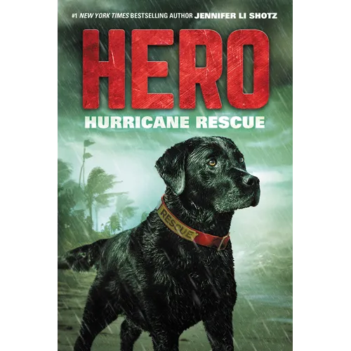Hero: Hurricane Rescue - Paperback