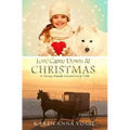 Love Came Down At Christmas: A Fancy Amish Smicksburg Tale