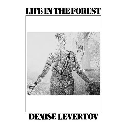 Life in the Forest - Paperback