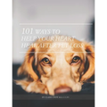 101 Ways To Help Your Heart Heal After Pet Loss