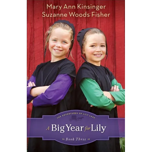 Big Year for Lily - Paperback