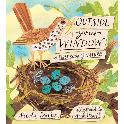 Outside Your Window: A First Book of Nature - Hardcover