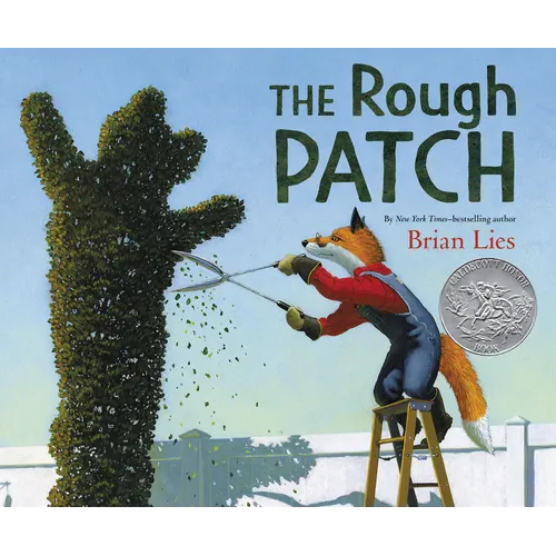 The Rough Patch: A Caldecott Honor Award Winner