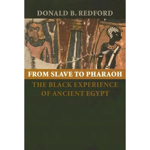 From Slave to Pharaoh: The Black Experience of Ancient Egypt - Paperback