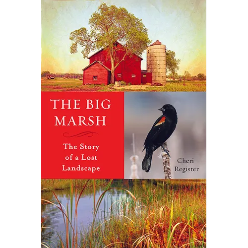 The Big Marsh: The Story of a Lost Landscape