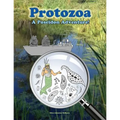 Protozoa; A Poseidon Adventure!