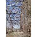The Bridge