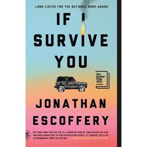 If I Survive You - Paperback