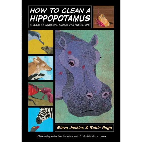 How to Clean a Hippopotamus: A Look at Unusual Animal Partnerships - Paperback